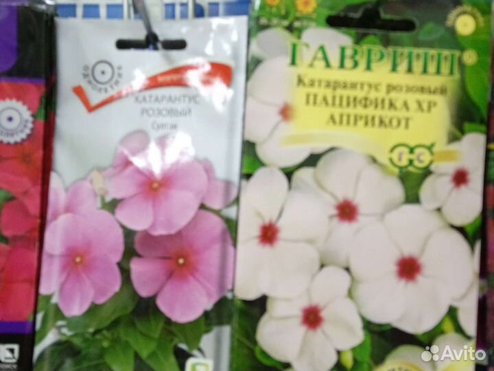 Эустома семена