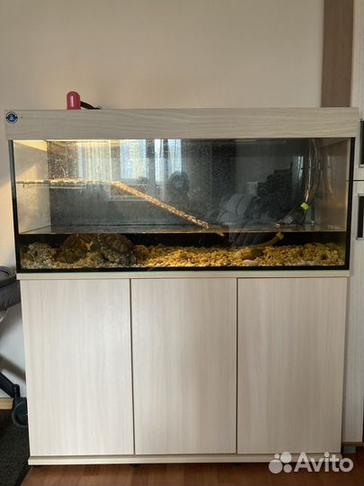 Аквариум для черепах со всем содержимым