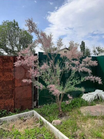 Дом 30 м² на участке 3,5 сот.