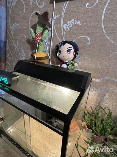 Террариум для рептилий