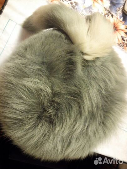 Шапка новая из песца двухцветная