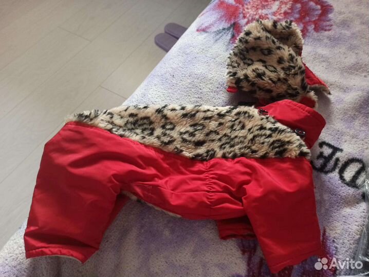 Одежда для маленьких собак