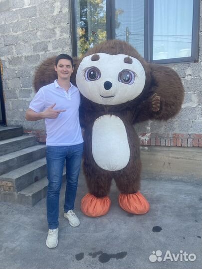 Поздравление от Ушастика