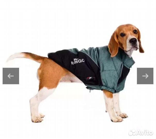 Куртка для собак