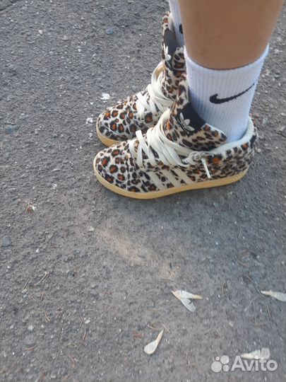 Adidas jeremy scott leopard