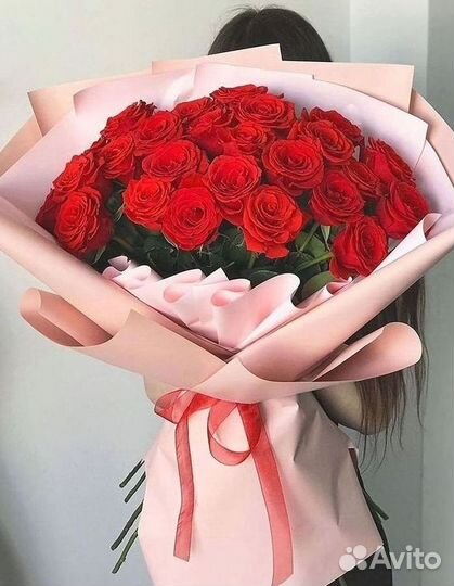 101 роза цветы букеты доставка 25 51 101 роза
