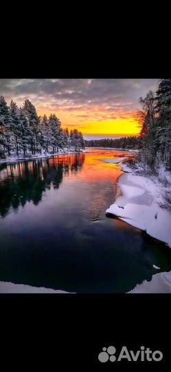 Топливные гранулы пеллеты из лузги подсолнечника