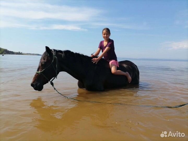 Прогулки на лошадях, фотосессии, обучение