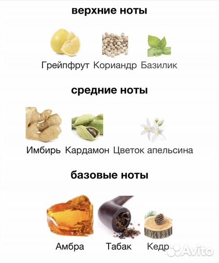 The One for Men Dolce&Gabbana 10мл