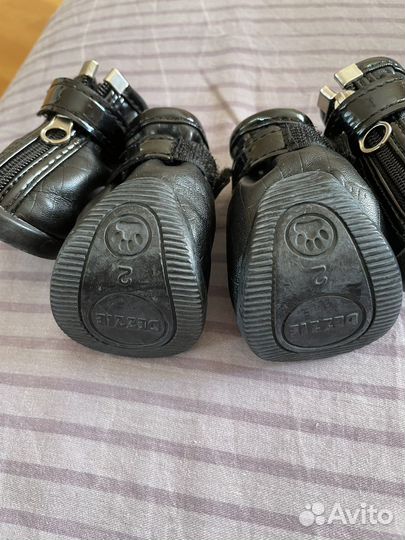 Комбинезон для маленьких собак ботинки dezzie