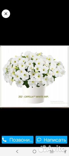 Искусственные цветы