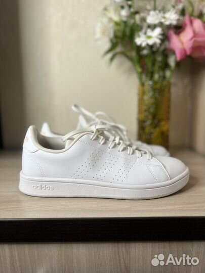 Кеды adidas женские 40
