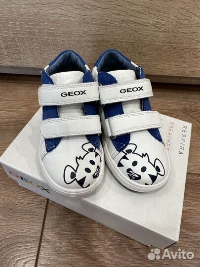 Кеды geox 24