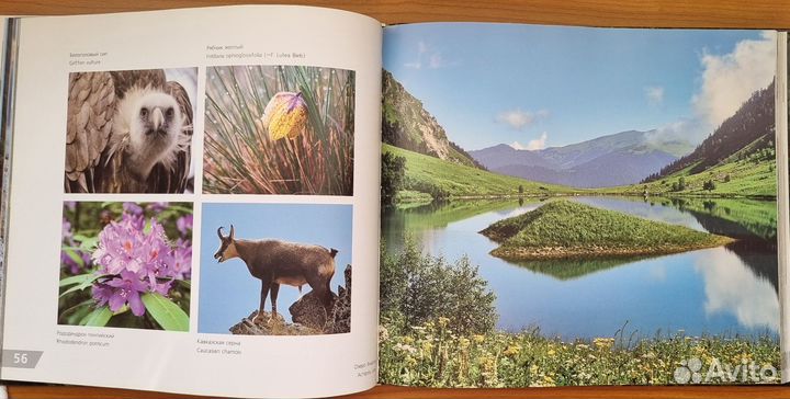 Природное наследие России. Гринпис. 2012