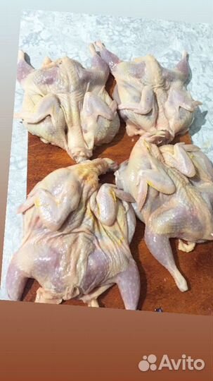 Мясо перепелки