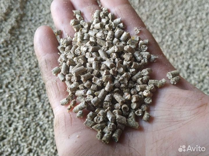 Корм для кур несушек