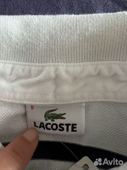 Lacoste polo