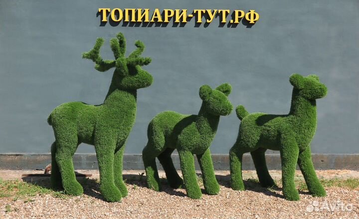 Топиари Топиарные фигуры Садовые фигуры