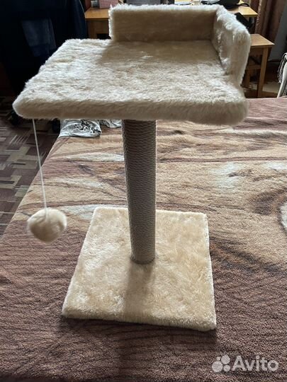 Когтеточка