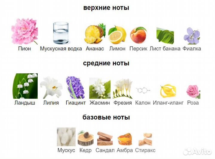 Giorgio Armani Acqua Di Gio