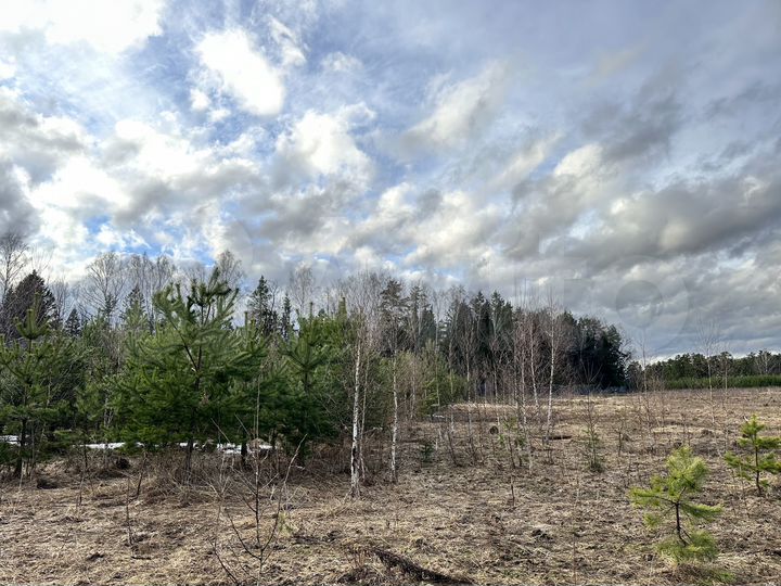 Участок 6,3 сот. (ИЖС)