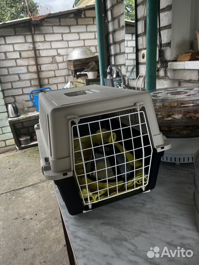 Продам переноску и лоток