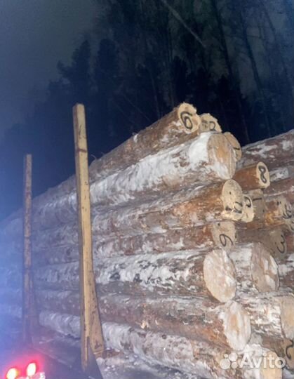 Лес кругляк