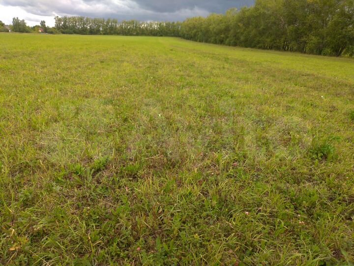 Участок 5 сот. (ИЖС)