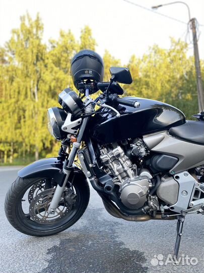 Honda hornet