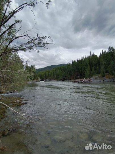 Отдых в горах и рыбалка