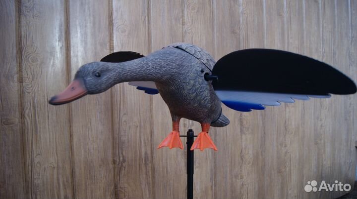 Махокрыл, подсадная утка, приманка