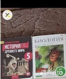 Учебники за 5 и 6 классы
