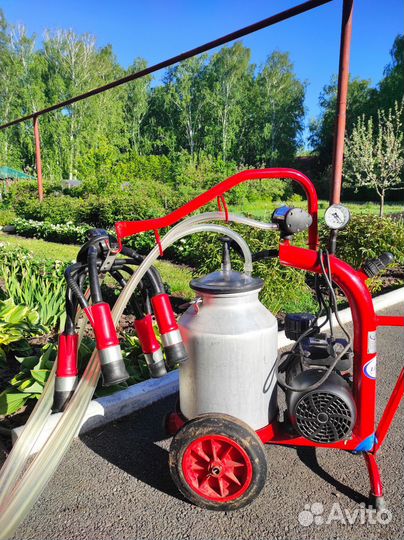 Аппарат для дойки коров