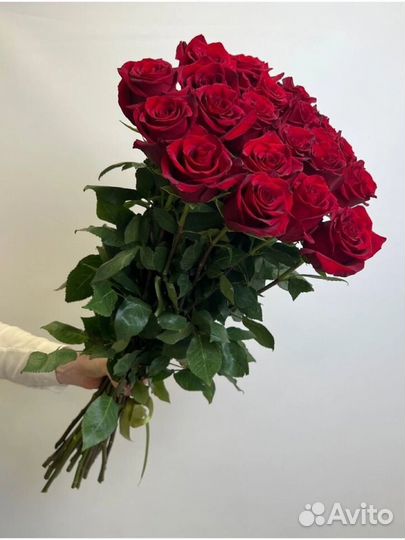 Розы Эквадор, премиальные стойкие розы, 19роз 70см