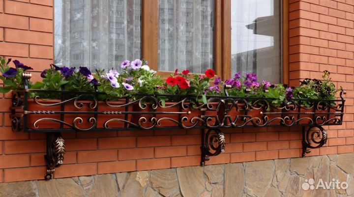 Цветочница уличная