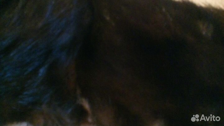 Воротник норка