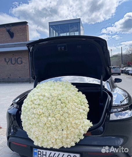 101 Роза, 201 Роза, цветы, букеты