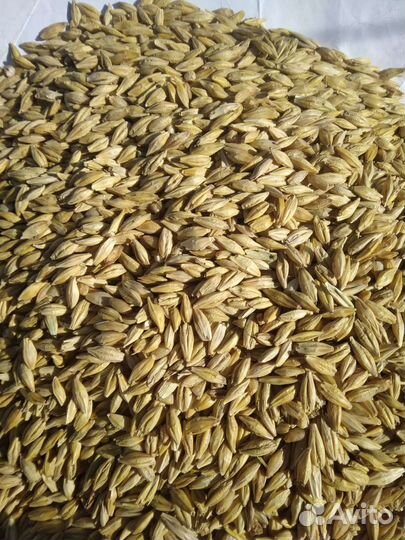 Корма для сельхоз животных и птиц