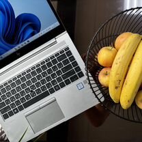 Мощный и стильный ноутбук HP EliteBook