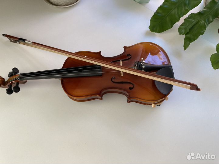 Скрипка 1 2