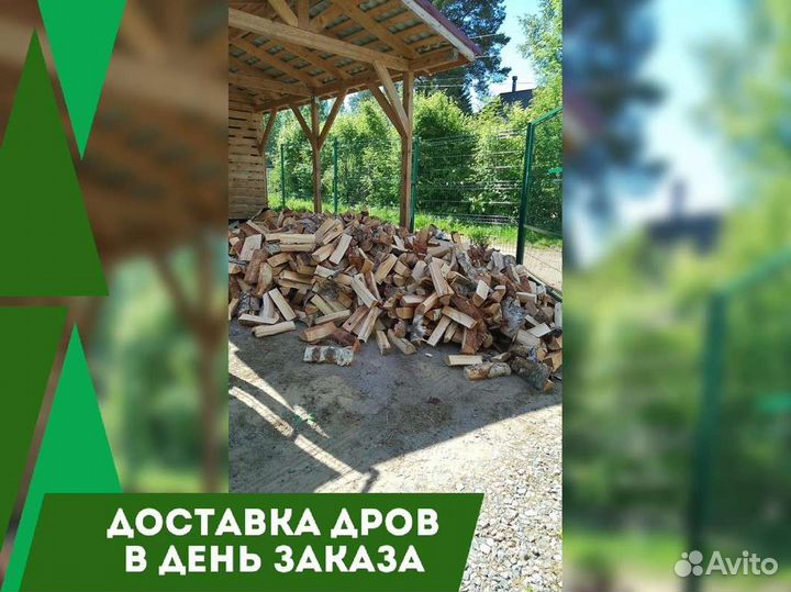 Дрова колотые березовые