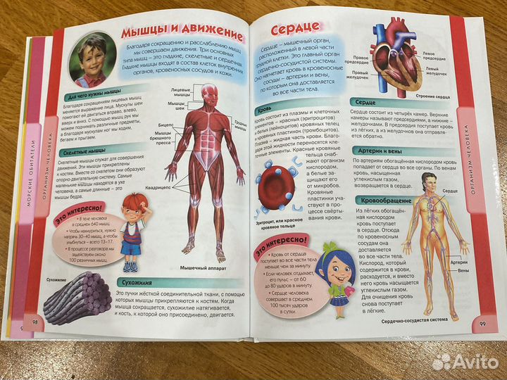 Книги энциклопедия и словарь