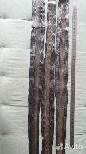 Натуральная змеиная кожа