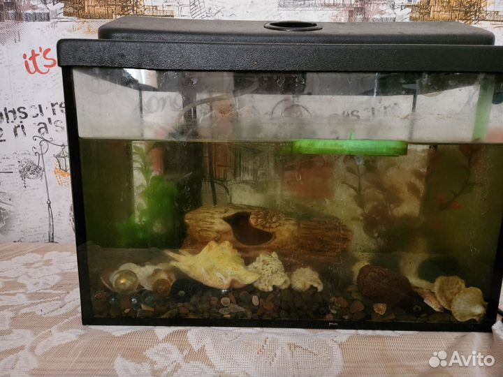 Аквариум