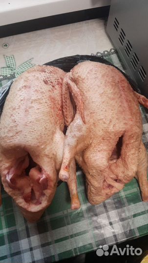 Утки на мясо