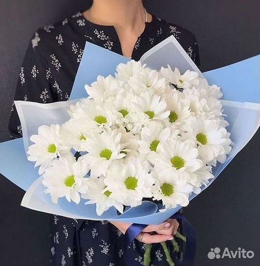 Доставка букетов и цветов. Хризантема