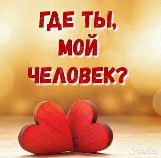 Шурик ищет дом/ кот в добрые руки