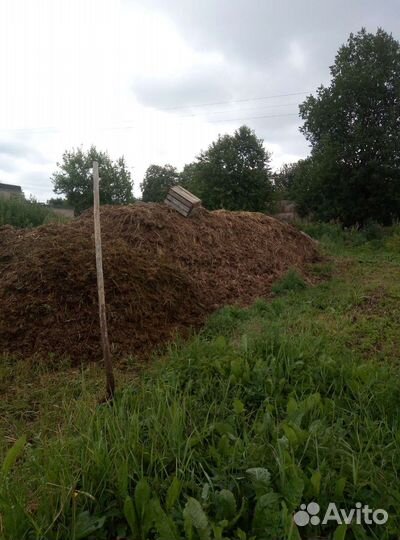 Навоз коровий