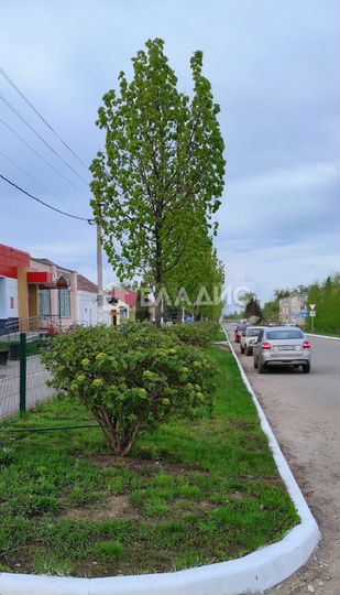 Продам торговое помещение, 1354.5 м²