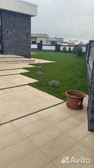 Продажа газона